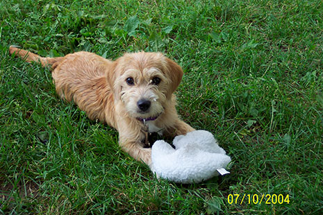 ...and the lamb shall lie down with Willie