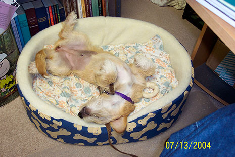 Willie after her first bluegrass festival